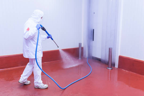 Best Roof Cleaning and Mildew Removal in Conrad, IA