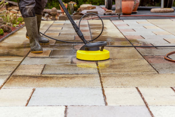 Best Soft Washing for Delicate Surfaces in Conrad, IA